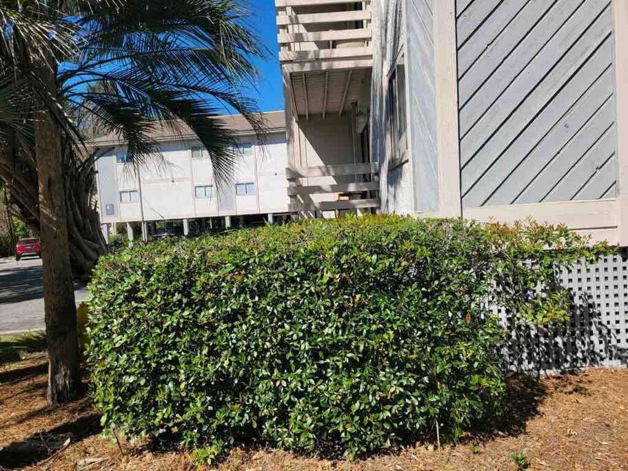 2022 Renovated 2-Bdrm Cozy, Lovely Condo W/Parking! Hilton Head Island Zewnętrze zdjęcie